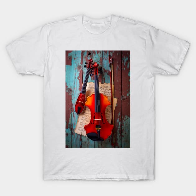 Baroque And Pocket Violin T-Shirt by photogarry